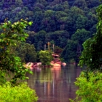 Crosses at Gauley Bridge