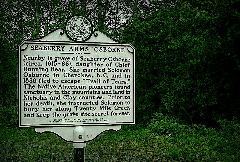 Grave of Seaberry Osborne near Gauley River in West Virginia