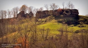 Nichols Knob, Vineyard Ridge, Roane County, WV