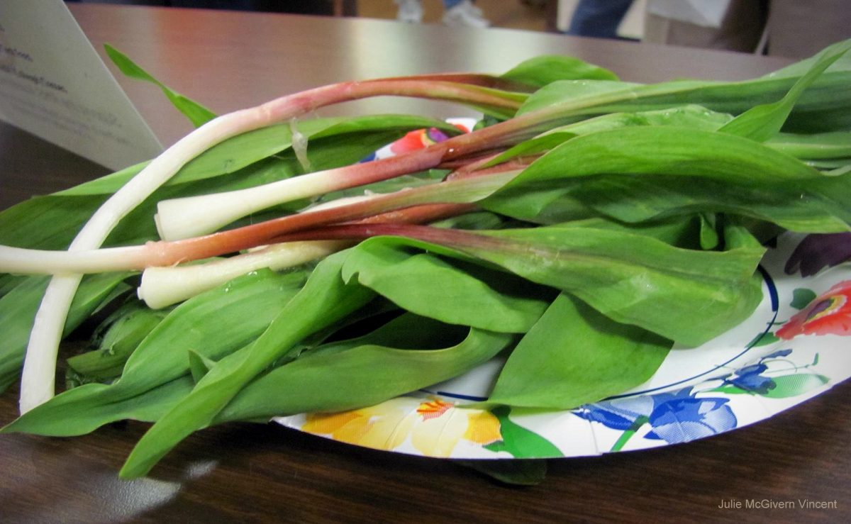 WV Ramps Julie McGivern Vincent