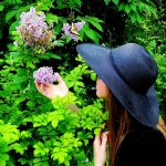 Lilacs in West Virginia