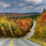 Autumn leaf change in West Virginia