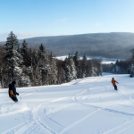 Snowshoe Skiers
