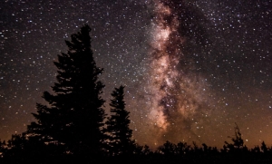 Johnson Personal Voyage Dolly Sods in West Virginia