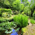 Pond at the Garvey House