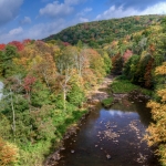 Williams River