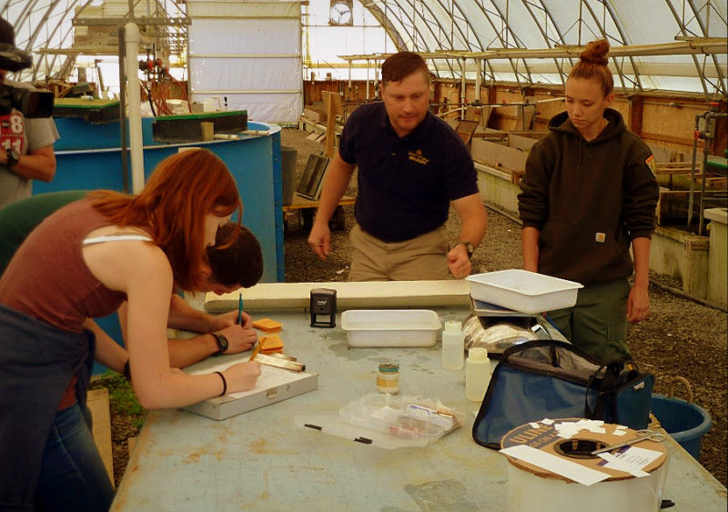 Biologist Brandon Keplinger (center) works with staff to restore trout populations.