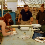 Slanesville students help restore trout population