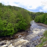 Shavers Fork of Cheat River