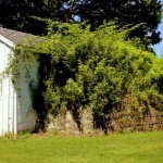 Root Cellar at Arthurdale