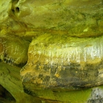 Beards Fork Petroglyphs