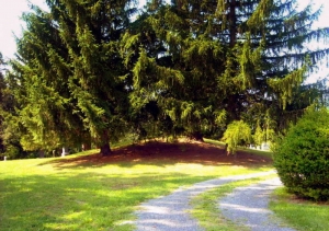The mound in the Mound Cemetery at Romney stands near U.S. 50.