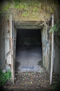 TNT bunkers at the McClintic Wildlife Management Area now hold fans of Mothman transfixed. 