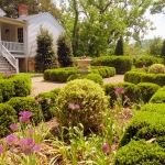 Boxwood hedges at Craik-Patton House