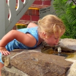 Free-flowing fountain at Capon Springs