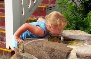 Mineral waters at Capon Springs & Farms flow freely year round.