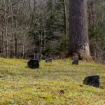 Cemetery at Adair, West Virginia