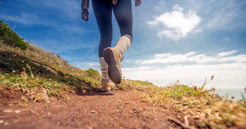 Encounters with venomous snakes in West Virginia need not worry hikers.