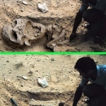 Doctored image from Pseudoarchaeology publication