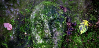 Remarkable stone face attracting curious in New River Gorge An enigmatic stone face carved into mossy sandstone along the rim of the New River Gorge is attracting increased attention.