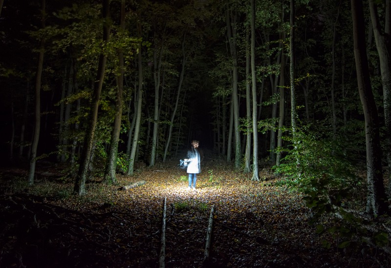 A ghost hunter roams a West Virginia forest.