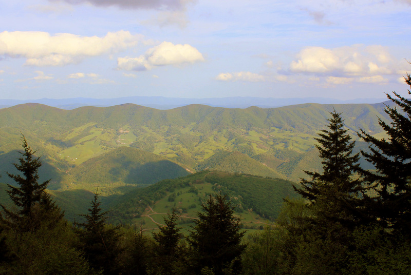 Looking across the Potomac Highlands of West Virginia, mountain ranges recede into the distance. (Photo courtesy WVU)