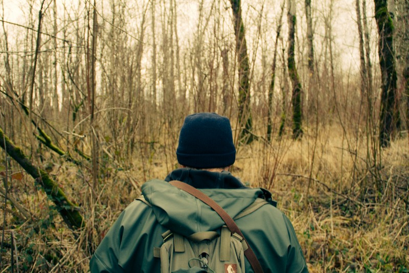 A wildlife biologist surveys a glade in West Virginia.