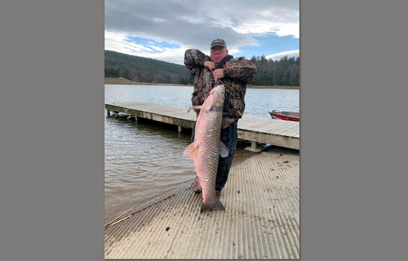 John Miller, of Lost City, displays the new state record grass carp, a 54.75-inch, 67.4-pound trophy from Warden Lake.