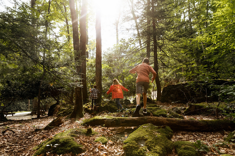 Children frolic during a Green Day Hike, now a landmark spring in event in West Virginia State Parks.