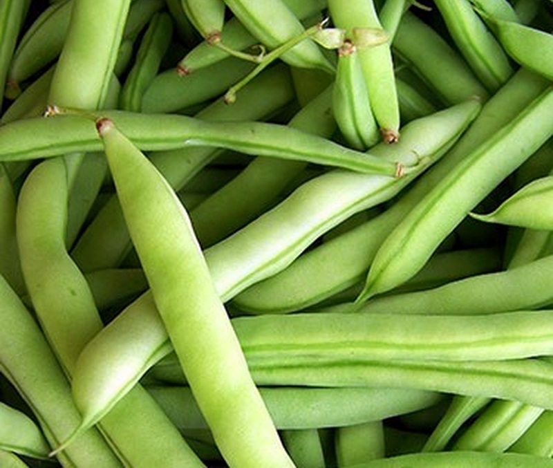 An American favorite, Early White Half Runner Beans originated in Calhoun County, West Virginia.
