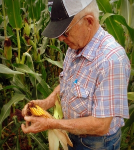 Sam Tuckwiller examines a corn cob in Greenbrier County.