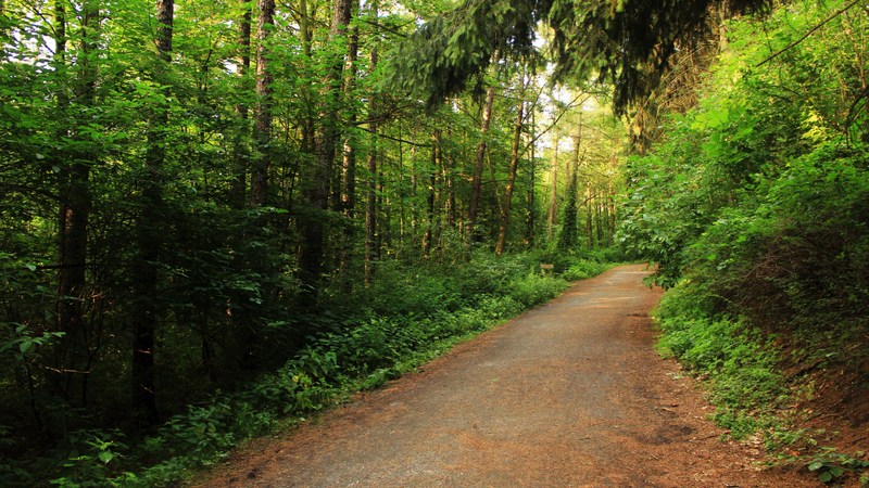 The new Elk River Trail State Park is attracting business interests.
