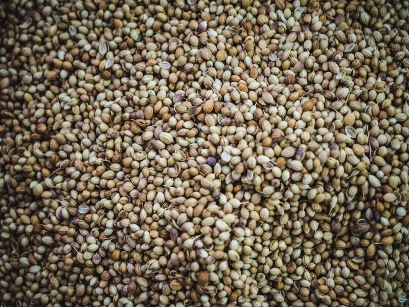 Seed packages received from unknown sources without solicitation should not be planted, says WVDA.