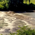 Upper Falls of Coal River