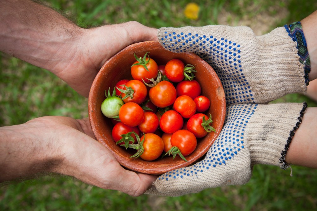 West Virginia agriculture is getting a boost, thanks to a grant from the USDA.
