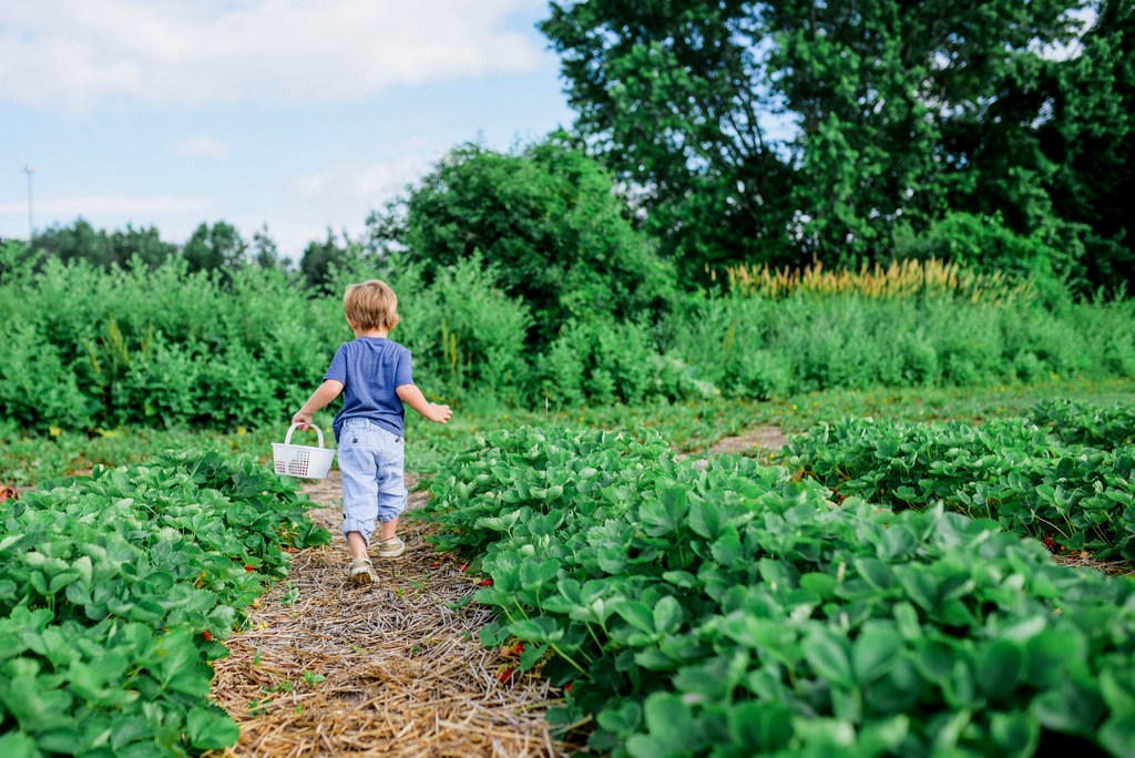 Specialty crops are the future of the West Virginia agricultural economy.