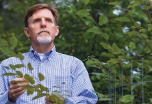 Want to increase your property value? Plant a shade tree, West Virginia Dr. Greg Dahl is working to improve the urban landscape in West Virginia.