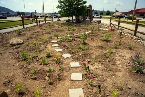 A newly unveiled pollinator garden will enhance an entrance to the Toyota Plant at Buffalo, West Virginia.