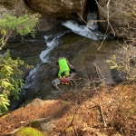 Deer rescue in national park