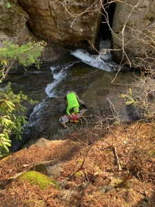 A rescuer prepares to life the injured deer. 