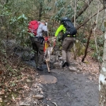 Rangers rescue trapped deer