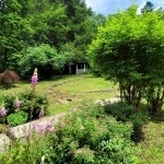 Gardens at the Garvey House