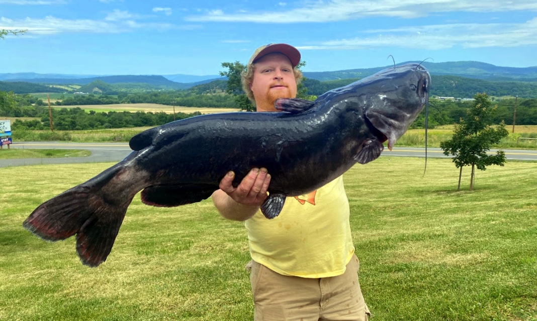Allen Burkett of Criders, Va., caught a channel catfish that weighed 36.96 pounds and measured 40.59 inches in length.