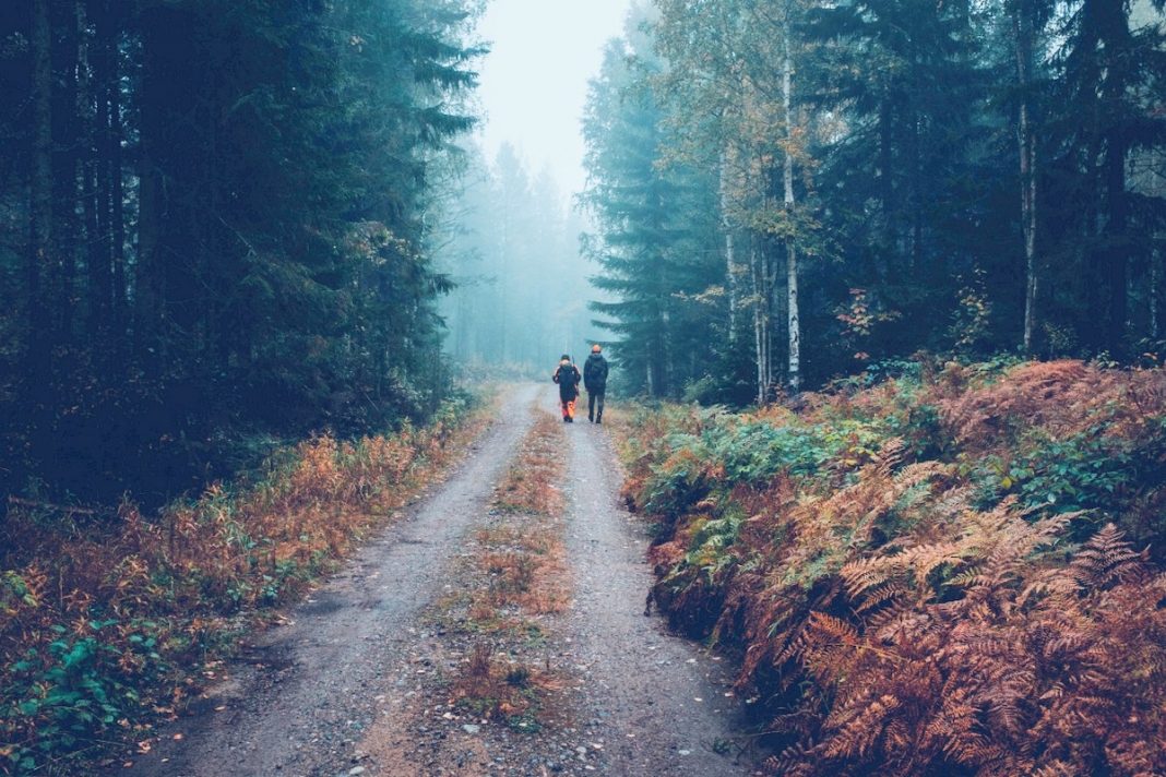 Hunters walk in the highlands in search of their quarry.