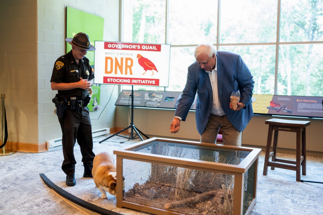 Justice feeds quail