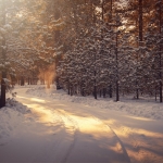 Winter by Timothy Eberly