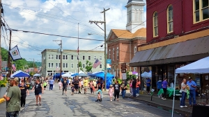 Crowd at West Virginia Bigfoot Festival