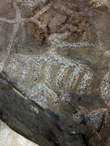 Detail of bird on Ceredo Petroglyph