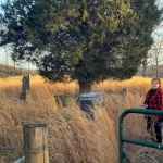 Joni Morris at Mount Calvary Cemetery