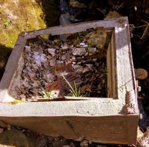 Old Safe